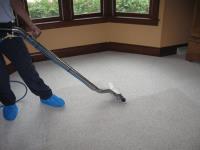 Wizard Carpet Cleaning image 5
